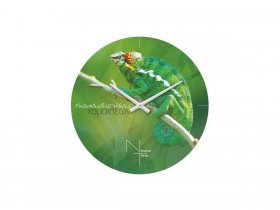 Часы настенные Nicole Time NT503 в Боровом - borovoe.mebel-nsk.ru | фото