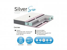 Матрас Silver Six в Боровом - borovoe.mebel-nsk.ru | фото
